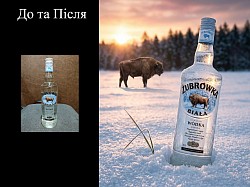 предметна зйомка у студії в Ірпені Києві, комерційна обробка та дизайн з допомогою ШІ